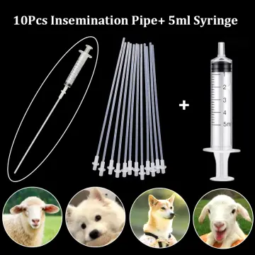 Dog artificial insemination top kit for sale