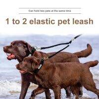 TEX1 Pcs Pet Dog Lead Leash Traction Rope Splitter 1 to 2 Double Way Elastic Outdoor UD88