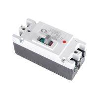 [HOT ZHKKZZLWWG 510] 2P DC 600V DC Solar Molded Case Circuit Breaker MCCB Overload Protection Switch Protector สำหรับ Solar Solar PV