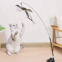 【CW】 Interactive for Cats Stick With Feathers Feather Animals Accessories