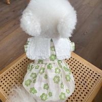 Flower Dress Pet Clothing Dogs Lace Skirt for Dog Clothes Costume Small French Bulldog Print Cute Summer Green Girl Mascotas Dresses