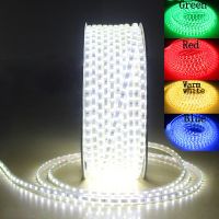 ¤ 220V LED Strip Backlight Flexible Light SMD5050 60LEDS/M Tape LED Ribbon Waterproof LED Strip Lights with Switch 1M 3M 5M 10M 20