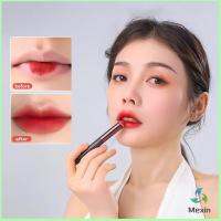 Mexin แปรงทาลิปฟุ้งสไตล์เกาหลี ขนนุ่มมาก บล็อกเกอร์แนะนำ ทาลิปไม่เป็นคราบ lipstick brush