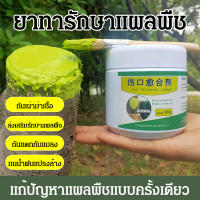 biubiubeng เครื่องปิดแผลต้นไม้, เครื่องปิดแผลตัดแต่งกิ่งต้นไม้ 100 กรัม