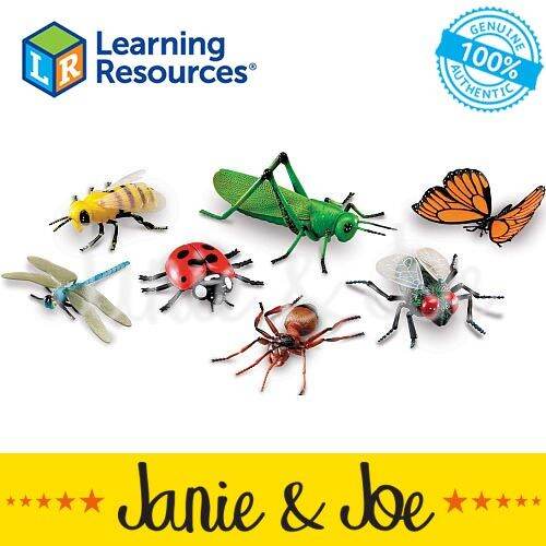 LEARNING RESOURCES Jumbo Insects- Age 3-7, STEM, Science, Nature, Figurines, Animals, Educational, Manipulatives, Pretend Play | Lazada LEARNING RESOURCES Jumbo Insects- Age 3-7, STEM, Science, Nature, Figurines, Animals, Educational, Manipulatives, Pretend Play | Lazada