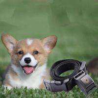 Auto Anti No Bark Control Collar For Training Dog Stop Barking No Shock Collar For Small Dog