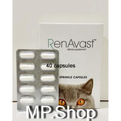 Renavast อาหารเสริมโปรตีน บำรุงไต สำหรับแมว และสุนัขขนาดเล็ก ไม่เกิน 9 กก. จำนวน 40 caps (4แผงx10caps)