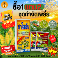 ? ชุดกำจัดเพลี้ย (ฮาโลซัน+ไทอะมีทอกแซม) 1ลิตร+100กรัม*2ซอง ซื้อ1แถม2‼ กำจัดเพลี้ยทุกชนิด