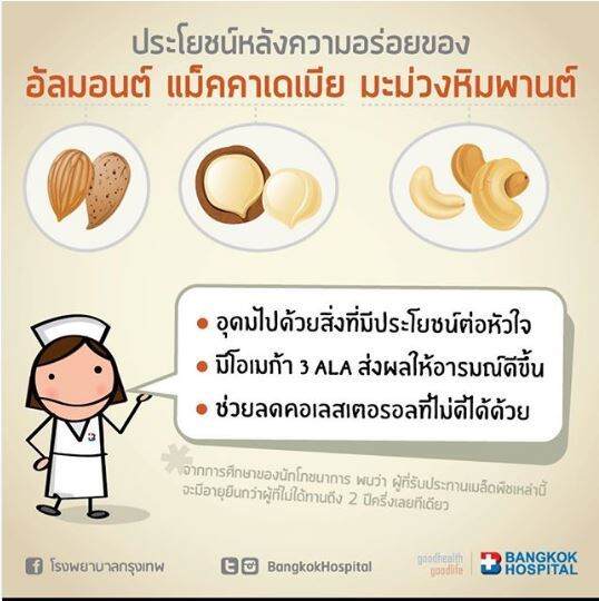 แมคคาเดเมีย-100-กรัม-อบพร้อมทาน-macadamia-แบบมีเปลือก-เต็มเม็ด-มีที่แกะเปลือก