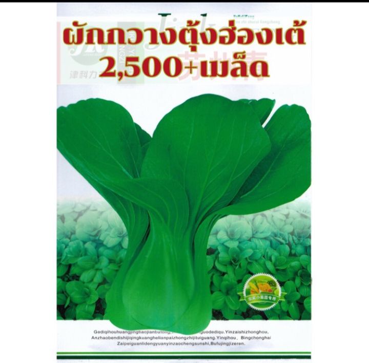 ผักกวางตุ้งฮ่องเต้ทนร้อน-เมล็ดผักกวางตุ้งฮ่องเต้-2500-เมล็ด