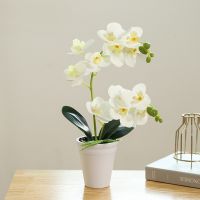 Artificial Butterfly Orchid Bonsai 12 Flowerheads Flowers Fake Potted for Wedding Party Decor Office Desktop Living Ornament