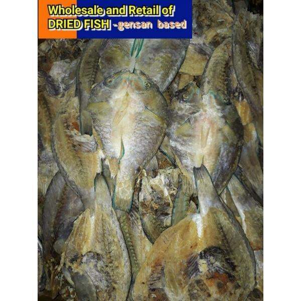 1 kilo DRIED MOLMOL/PARROT FISH Lazada PH
