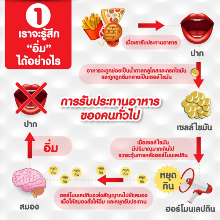 เลปติโกพลัสเอ็ม-กิฟฟารีน-สำหรับผู้ที่-กินจุ-อิ่มยาก-หิวบ่อย