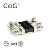 800A FL-2 1000A 1200A 1250A 750A CG Manganin ทองแดง DC Shunt 0.5 Class วัด Shunt Resistor สำหรับ og Ammeter