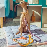 Durable Weaving Big Dog Leash Rope Running Pet P-Chain Collar for Medium Large Dogs Greyhound Double End mascotas Traction Leads