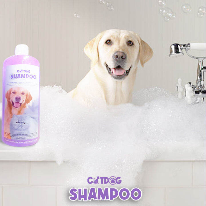 Catdog Shampoo, Dog Shampoo, Cat Shampoo, 2in1 Shampoo & Conditioner