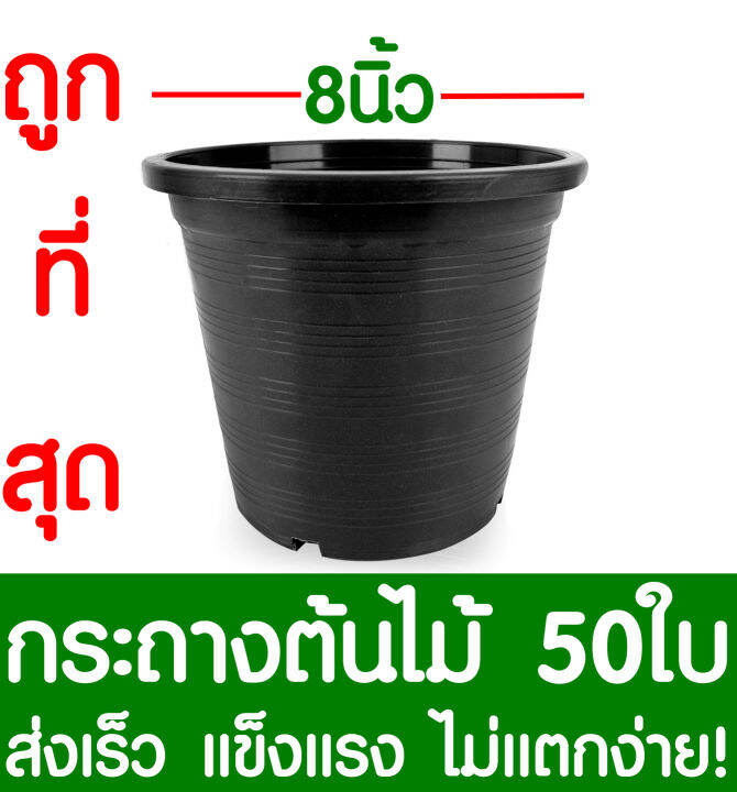 กระถางต้นไม้-กระถางพลาสติก-ขนาด-8-นิ้ว-50ใบ-กระถางกลม-กระถางต้นไม้พลาสติก-กระถางปลูกต้นไม้-กระถางดำ-กระถางพลาสติกดำ-flower-pot