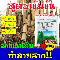 ?ตรงไปที่ราก!!?FM ยากำจัดต้นไม้ สารกำจัดกอไผ่ ผงกำจัดต้นไผ่ ยาฆ่าตอไม้ 500g สูตรเข้มข้น กำจัดวัชพืชรากเน่า ตายไม่มีเหลือ