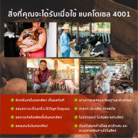 ฺBACTOCEL แบคโตเซล 4001 1000cc 1 ขวด จุลินทรีย์ฟาร์มสัตว์ ดับกลิ่นในคอก ลดแมลงวัน ป้องกันโรคในสัตว์ จุลินทรีย์คอกสัตว์ ยาสัตว์ กำจัดโรค