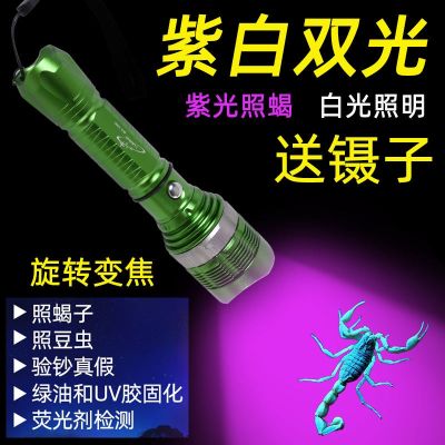 Rechargeable purple flashlight ultraviolet led lamp UV curing lamp special for scorpion jade identification currency inspection and detection l