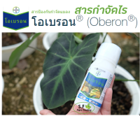 โอเบรอน สารกำจัดไร ยี่ห้อ Bayer  (ชื่อสามัญ สไปโรมีซิเฟน) ขนาด 100 cc