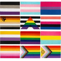 【YF】✈☂  Straight Allies Pride Asexual Fluid Flag Pansexual pride Embroidery Patches Iron on Saw