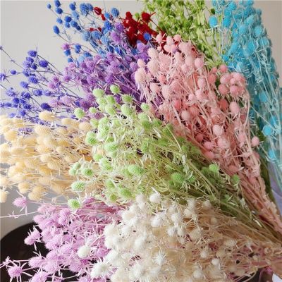 [AYIQ Flower Shop] 60กรัม/40เซนติเมตรคริสตัลดอกไม้คนรักผลไม้หนามคื่นฉ่ายดอกไม้เล็กๆช่อดอกไม้ตกแต่งงานแต่งงานการจัดดอกไม้ลอยขวด