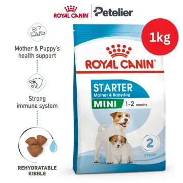 Mother and outlet baby dog food