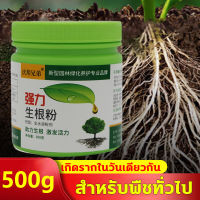 ?3วันหยั่งราก? ยาเร่งราก ผงเร่งราก ผงเร่งรากพืช 500g อุดมไปด้วยธาตุ ปลอดภัย ไร้สารพิษ ใช้ได้พืชทุกชนิด รากงอกเร็ว รากเยอะ อัตรารอดสูง แก้ปัญหารากเน่า ใบตาย เร่งดอก เร่งราก บำรุงต้น น้ำยาเร่งราก ปุ๋ยเร่งราก สารเร่งรากพืช สารเร่งราก