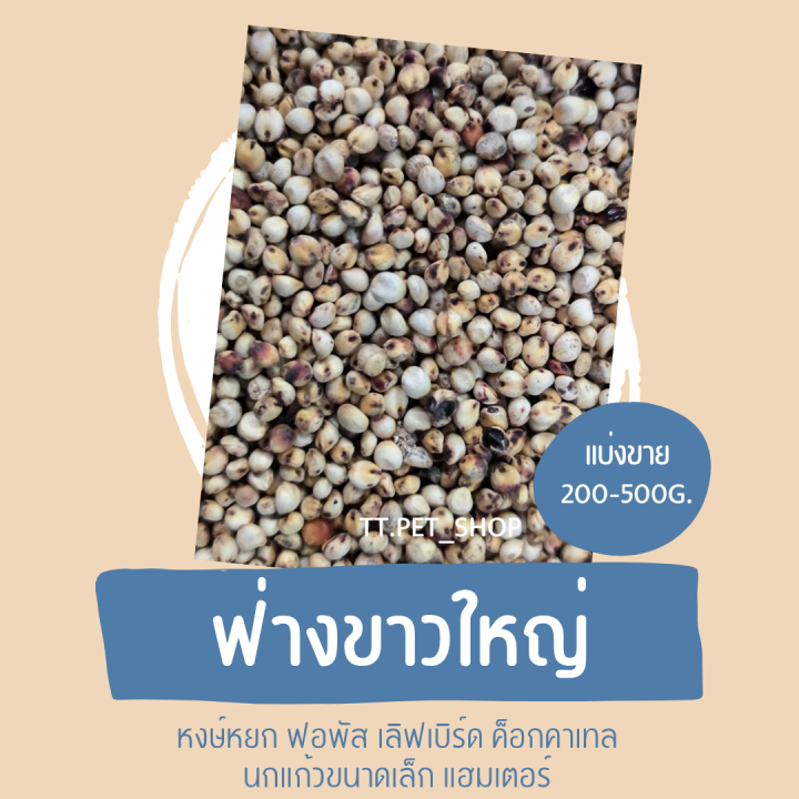 ฟ่างใหญ่-ขาว-แดง-แบ่งขาย-200-500g-อาหารนกแก้วฟอพัส-เลิฟเบิร์ด-ค็อกคาเทล-กรีนชีค