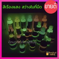 สีเรืองแสง 30ml สว่างในที่มืด สีนีนอนเรืองแสง NAKA