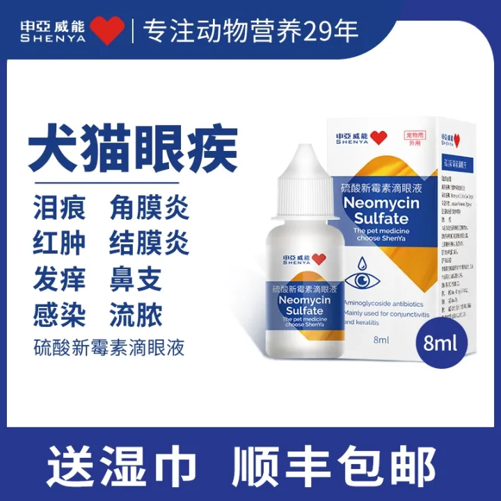 Cat eye drops antibacterial antiinflammatory cat nasal branch