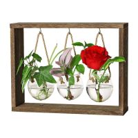 【CW】✖❀  Pot Terrariums Propagation Stations With Suspending Hydroponic Test Tube Flowers Cuttings Glass Vase