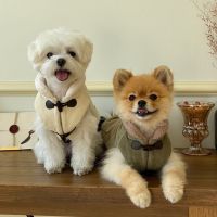 [COD] Cross-border puppy two-legged vest thickened warm coat and medium-sized dogs puppies cat spring autumn pet clothes