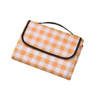 200*300cm Folding Picnic Mat Lightweight Thickened Non-woven Sitting Beach Blanket Outdoor Travel Tarpaulin Camping Hiking Use Sleeping Pads