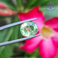 พลอย กรีนทัวมาลีน 3.78 ct. (Natural Green Tourmaline) สีเขียวอ่อน (สีสวย) เนื้อแก้วค่อนข้างใส ประกายเล่นไฟดี เป็นพลอยดิบ มีตำหนิภายในเนื้อพลอย