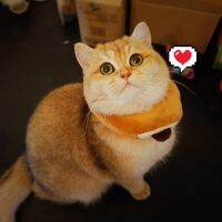 Bread Shape Protection Collar Surgery Wound Healing Funny Cat Collar Dog Collar Accessories