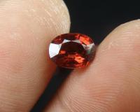 พลอย โกเมน { GARNET } 2.02 ct. เนื้อแก้ว สีแดงแป๊ดดด !!! พลอยดิบธรรมชาติ #อัญมณีประจำราศีราศีมังกร (14 ม.ค. – 13 ก.พ.)  ♡ รูปทรง ไข่  ♡ ค่าความแข็ง 7  ♡ คุณภาพ VVS  ♡ ขนาด 6.2 x 8.1 x 4.6 mm.  ♡ แหล่งที่มา ประเทศ Africa