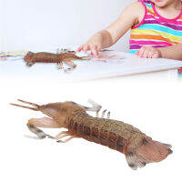 กุ้งจำลองตั๊กแตนตำข้าวรูปกุ้งแข็งแบบจำลองสัตว์ทะเลฝีมือดีน่าสนใจรายละเอียดที่สวยงามพลาสติกสำหรับตกแต่งบ้าน