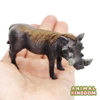 Animal Kingdom - โมเดล Boar หมู ป่า ขนาด 9.50 CM (จากสงขลา)