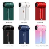 Professional Mini Hair Dryer Electric Blow Dryer Salon Blowdryer Anion Air Water Ion Hot and Cold Wind Hair Drying Tools