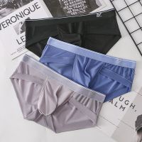 Men Briefs Ice Silk Breathable Thin Underwear Bugle Pouch Mesh Quick Drying Panties Sissy Underpants Ropa Interior Hombre Thongs