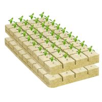 50Pcs Stonewool Hydroponic Grow Media Cubes Plant Cubes Soilless Substrate Seeded Rock Wool Plug Seedling Block