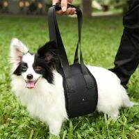 Outdoor Pet Accessories Dog Lift Support Help Old Dogs Walking Harness For Protection Injuries