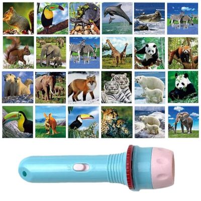 【CW】 Flashlight Projector Car Projection Toddler Torch Cognitive Baby Educational Lighting Lamp Disc