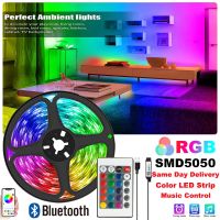 LED Strips Bluetooth SMD5050 APP Control Color Change Tape for TV Backlight USB Strip Light with 24keys Bedroom Decoration DC5V LED Strip Lighting