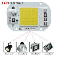 LIZHOUMIL แหล่งจ่ายไฟชิป LED แรงดันสูงขับฟรี220V 20W/30W/50W