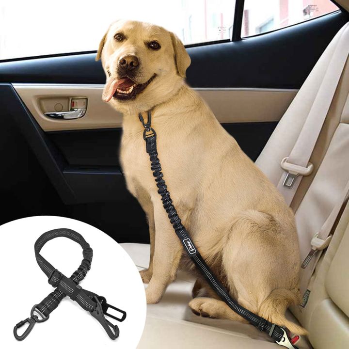 papi-pet-papi-pet-สายจูงเข็มขัดนิรภัยรถสำหรับสุนัขและแมว-สายจูงแบบพับเก็บได้เพื่อความปลอดภัยแบบปรับได้เชือกลากสำหรับสุนัขและแมวอุปกรณ์สำหรับสัตว์เลี้ยง