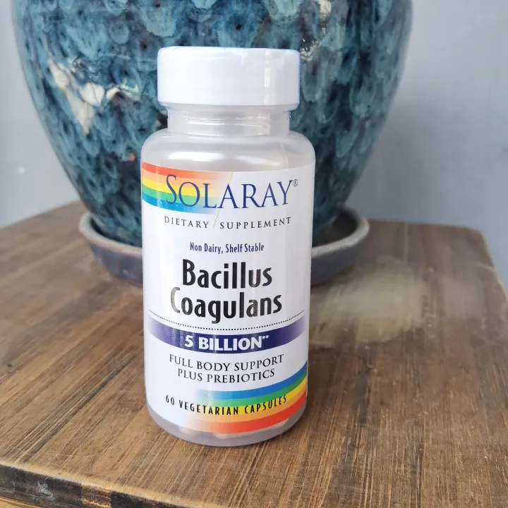 Solaray bacillus coagulans Probiotics 5 Billion 60 Capsules | Lazada