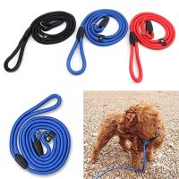 【LZ】 0.6/0.8/1cm Pet Dog Collar Nylon Anti-bite Non-slip Training Retractable Dog Leash Walking Harness Pet Products collar perro